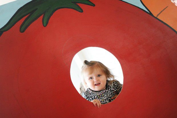 Tomato 2012